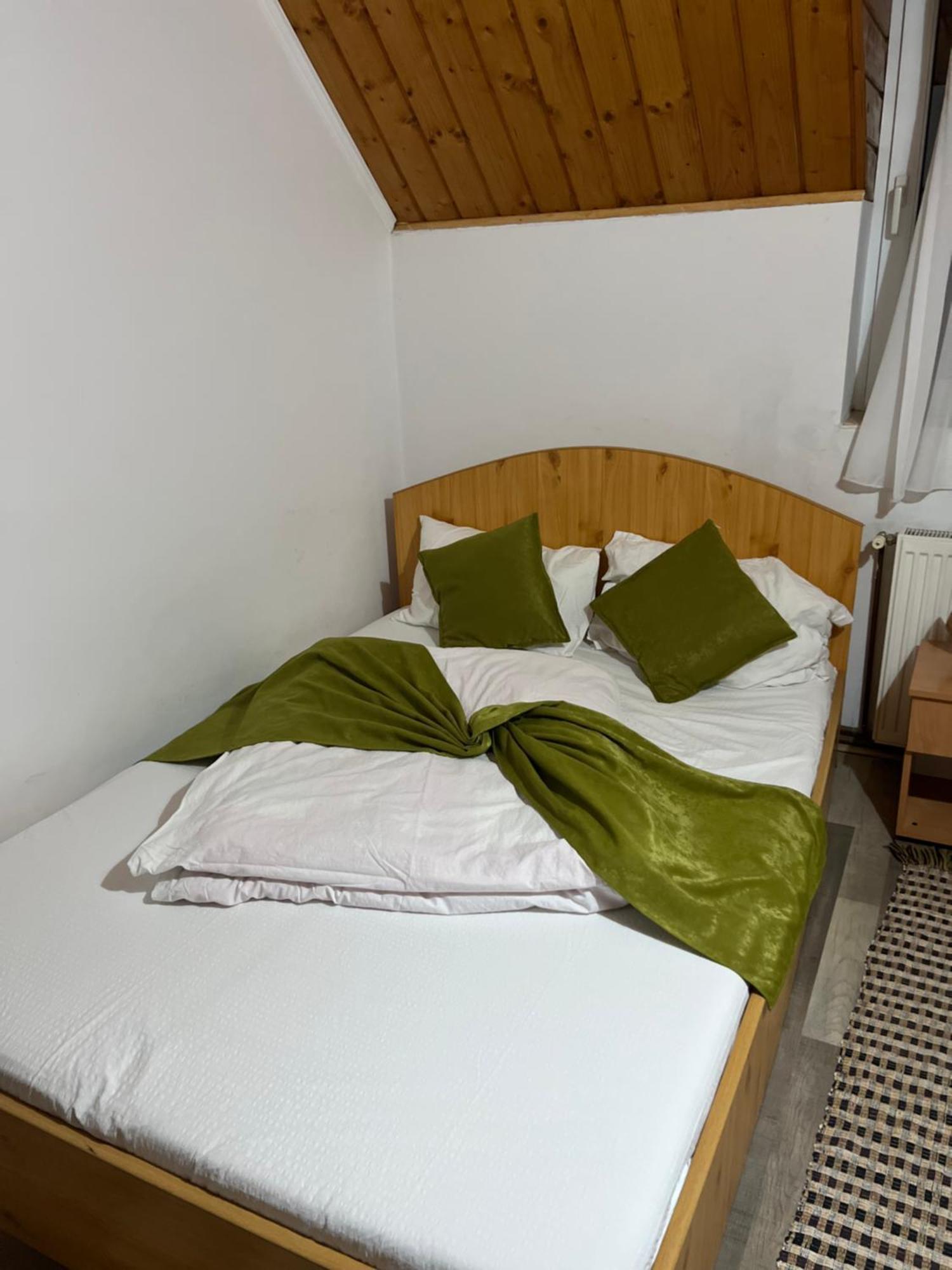 Vila Speranta Arieşeni Extérieur photo
